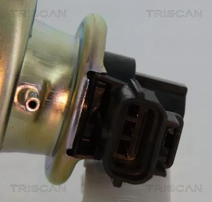 TRISCAN EGR Valve (881316102)