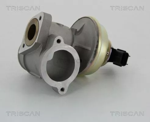 TRISCAN EGR Valve (881316102)