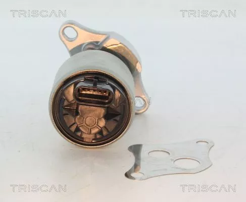 TRISCAN EGR Valve (881324004)