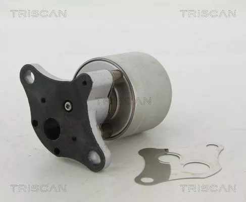 TRISCAN EGR Valve (881324004)