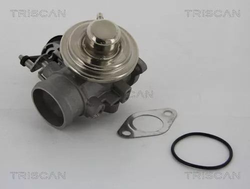 TRISCAN EGR Valve (881329001)