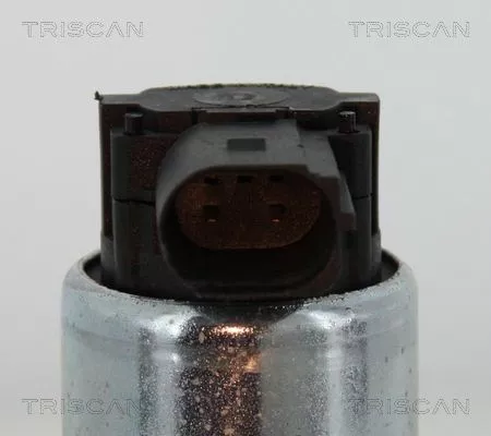 TRISCAN EGR Valve (881315052)
