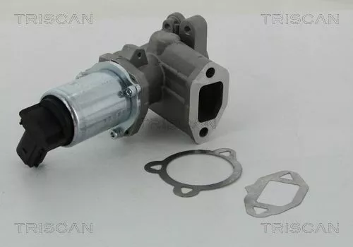 TRISCAN EGR Valve (881315052)