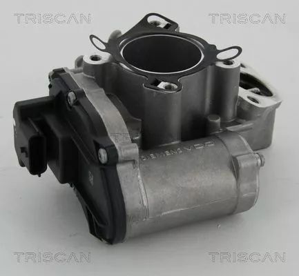 TRISCAN EGR Valve (881324039)