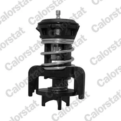 CALORSTAT by Vernet Thermostat, coolant (7275.92J)