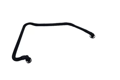 Hose, cylinder head cover ventilation