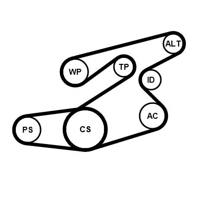 CONTINENTAL CTAM V-ribbed Belt Set (6PK1836K1)