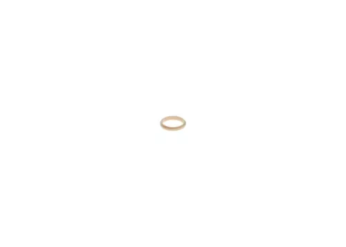 BOSCH Seal (F00RJ02157)
