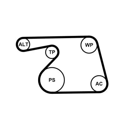 CONTINENTAL CTAM V-ribbed Belt Set (6PK1318K2)