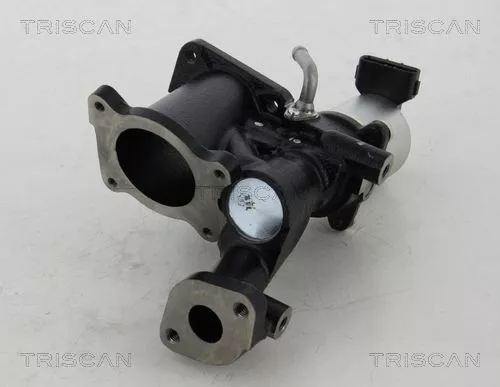 TRISCAN EGR Valve (881324022)