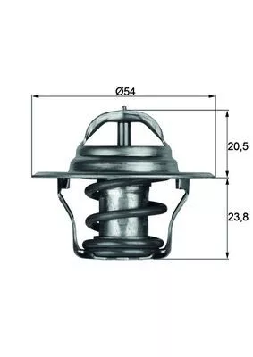 Thermostat, coolant