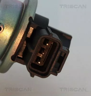TRISCAN EGR Valve (881316012)