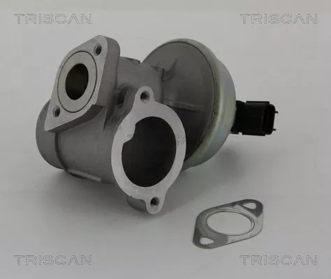TRISCAN EGR Valve (881316012)