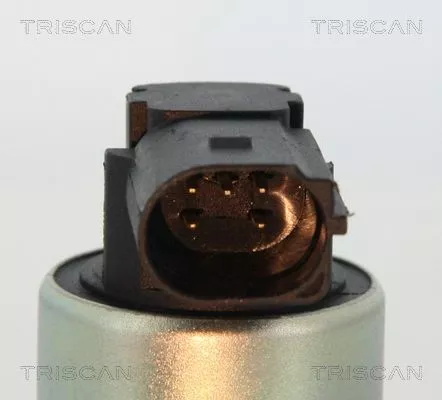 TRISCAN EGR Valve (881324003)