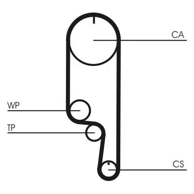 CONTINENTAL CTAM Water Pump & Timing Belt Kit (CT1008WP2)