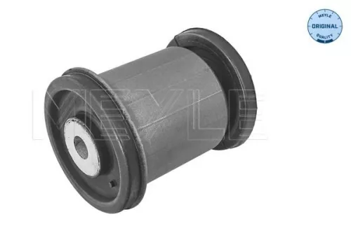 Bushing, leaf spring