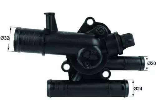 Thermostat, coolant