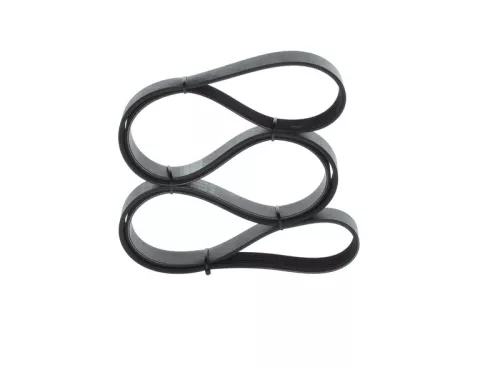BOSCH V-ribbed Belt (1987945712)