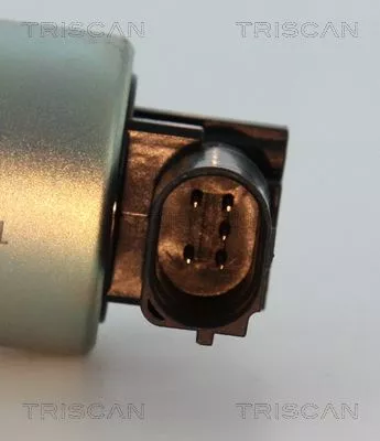 TRISCAN EGR Valve (881324037)