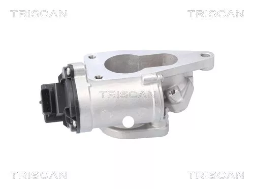 TRISCAN EGR Valve (881325201)