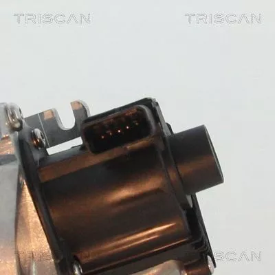 TRISCAN EGR Valve (881310007)