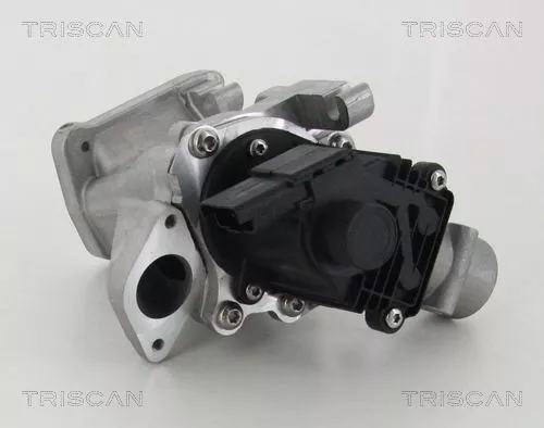 TRISCAN EGR Valve (881310007)