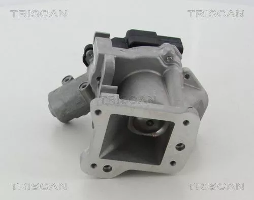 TRISCAN EGR Valve (881310007)
