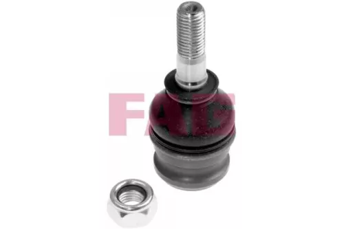 Schaeffler FAG Control/Trailing Arm, wheel suspension (821077310)