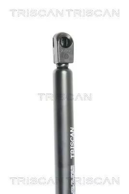 TRISCAN Gas Spring, rear window (871016251)