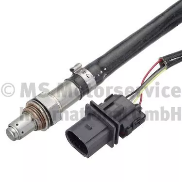 Oxygen Sensor