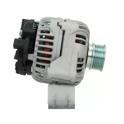 BV PSH Alternator (555.544.120.010)