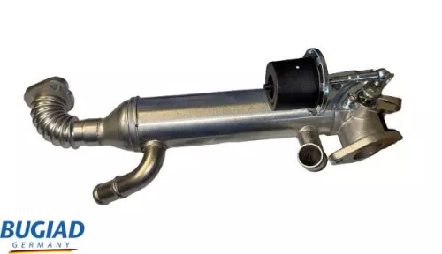 BUGIAD EGR Valve (BGR13105)