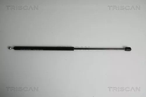 Gas Spring, boot/cargo area