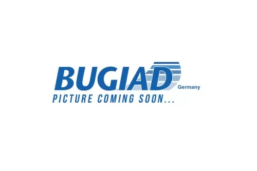 BUGIAD Steering Knuckle, wheel suspension (BSP25432PROKIT)