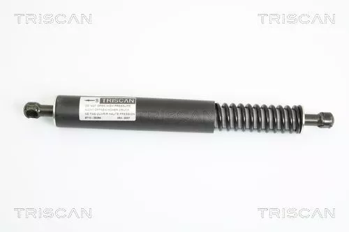 Gas Spring, boot/cargo area