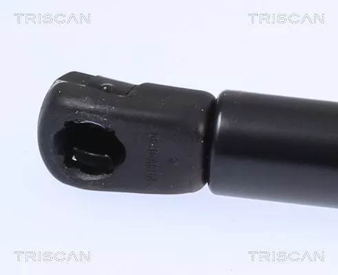 TRISCAN Gas Spring, boot/cargo area (871023299)