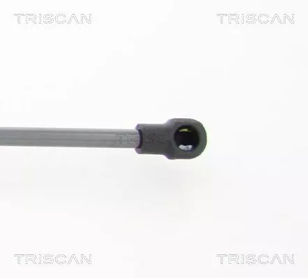 TRISCAN Gas Spring, boot/cargo area (8710112011)