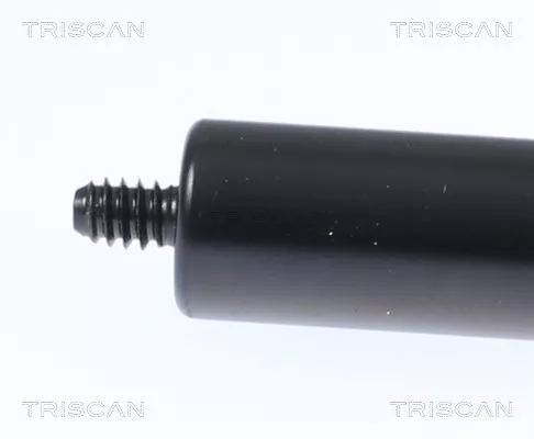 TRISCAN Gas Spring, bonnet (871023135)