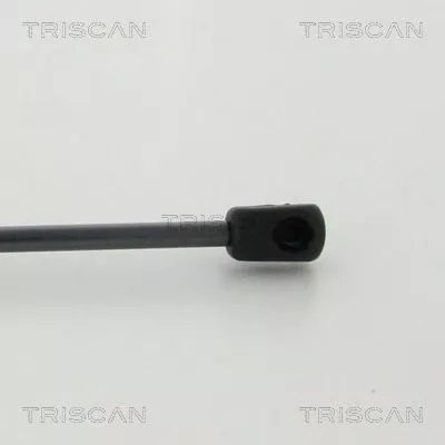TRISCAN Gas Spring, boot/cargo area (871038245)