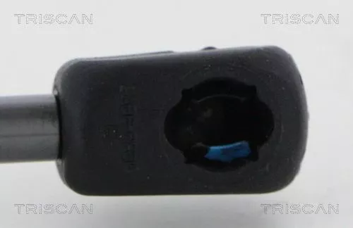 TRISCAN Gas Spring, boot/cargo area (871038246)