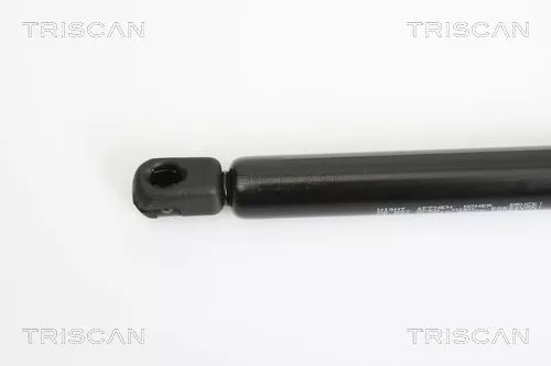 TRISCAN Gas Spring, boot/cargo area (871024230)