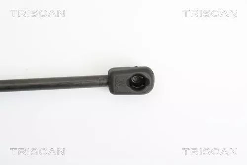 TRISCAN Gas Spring, boot/cargo area (871024230)