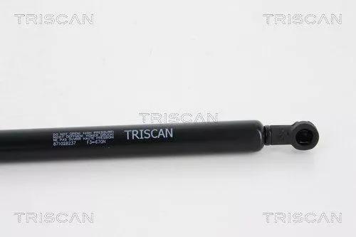 TRISCAN Gas Spring, boot/cargo area (871028237)