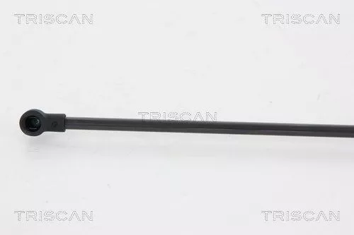 TRISCAN Gas Spring, boot/cargo area (871066207)