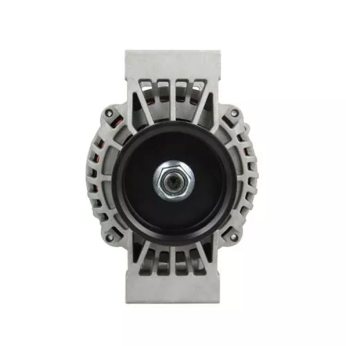 BV PSH Alternator (556.519.100.030)