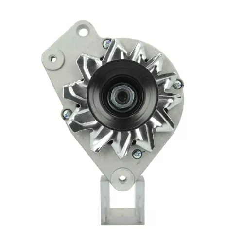 BV PSH Alternator (305.012.065.010)