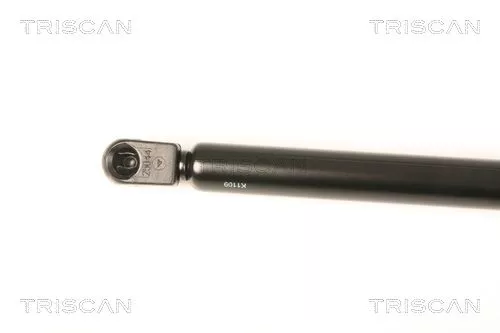 TRISCAN Gas Spring, boot/cargo area (871029287)