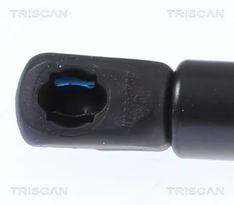 TRISCAN Gas Spring, boot/cargo area (871018244)