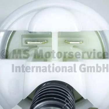 PIERBURG Fuel Pump (7.07795.61.0)