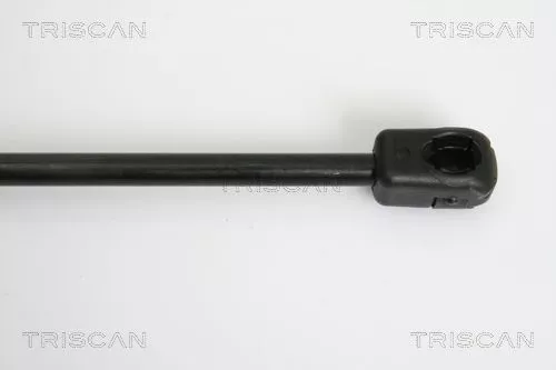 TRISCAN Gas Spring, boot/cargo area (871029278)
